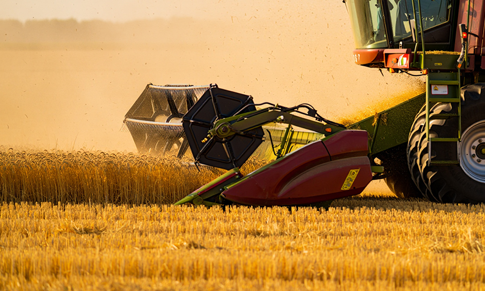 Федеральный эксперт оценил работу Омской области по программе «Агромотиватор»