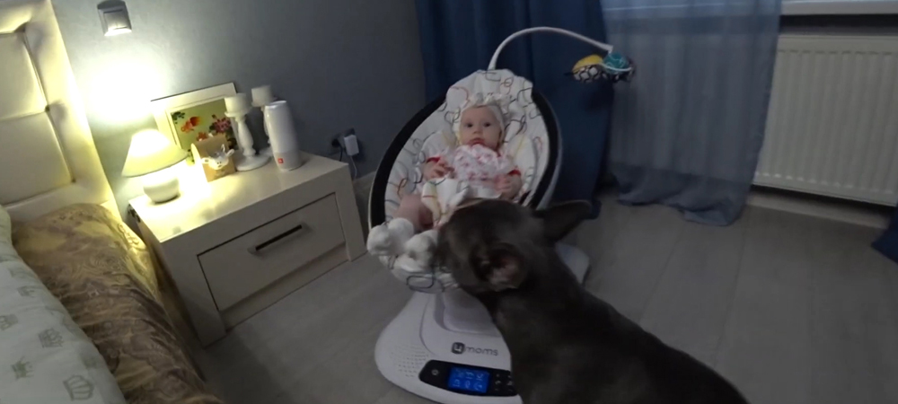 Кинологи рассказали, собаки каких пород лучше других смогут поладить с малышами