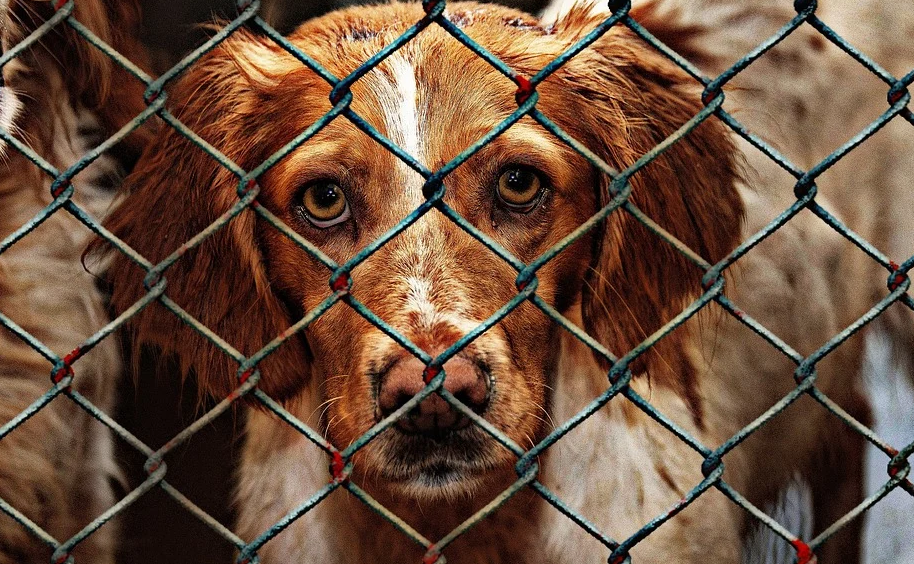 Омские студенты приняли участие в челлендже «Снежный КОрМ»