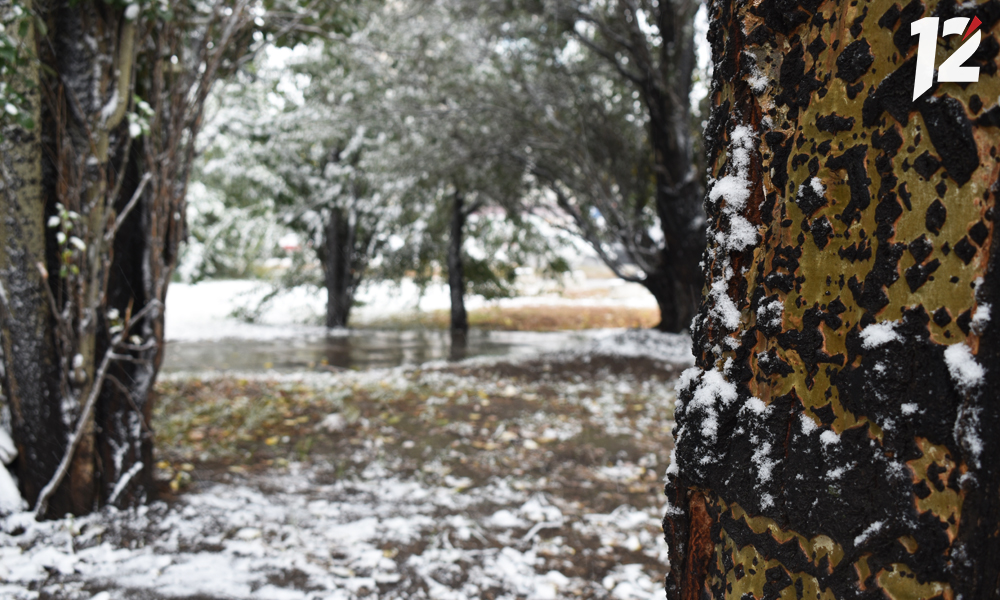 Синоптики рассказали, чего омичам ждать от погоды в ноябре