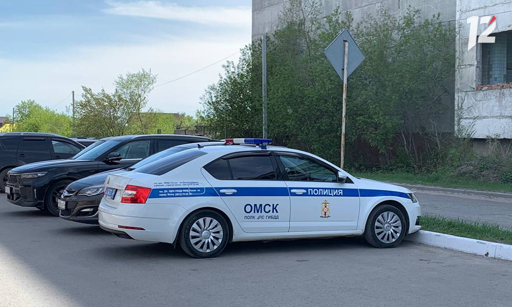 Предприимчивую омичку задержали при выезде из Канска 