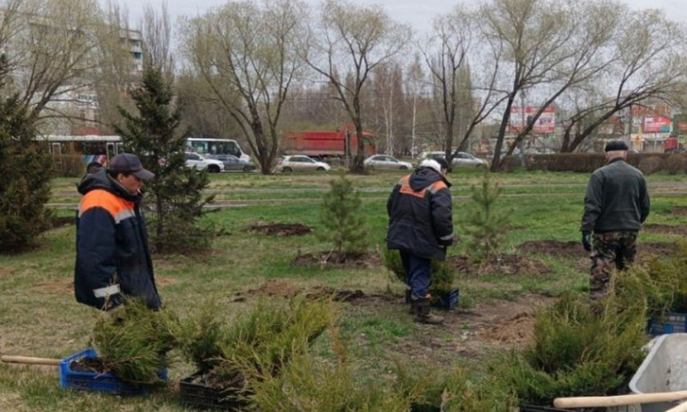 В Омске выполнили работы по озеленению на нескольких общественных территориях