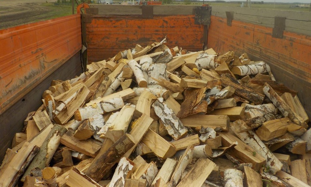 Из Омской области пытались незаконно вывезти партию древесины в Казахстан 