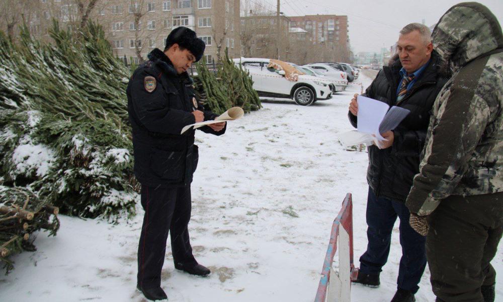 В Калачинском районе незаконно вырубили 9 сосен