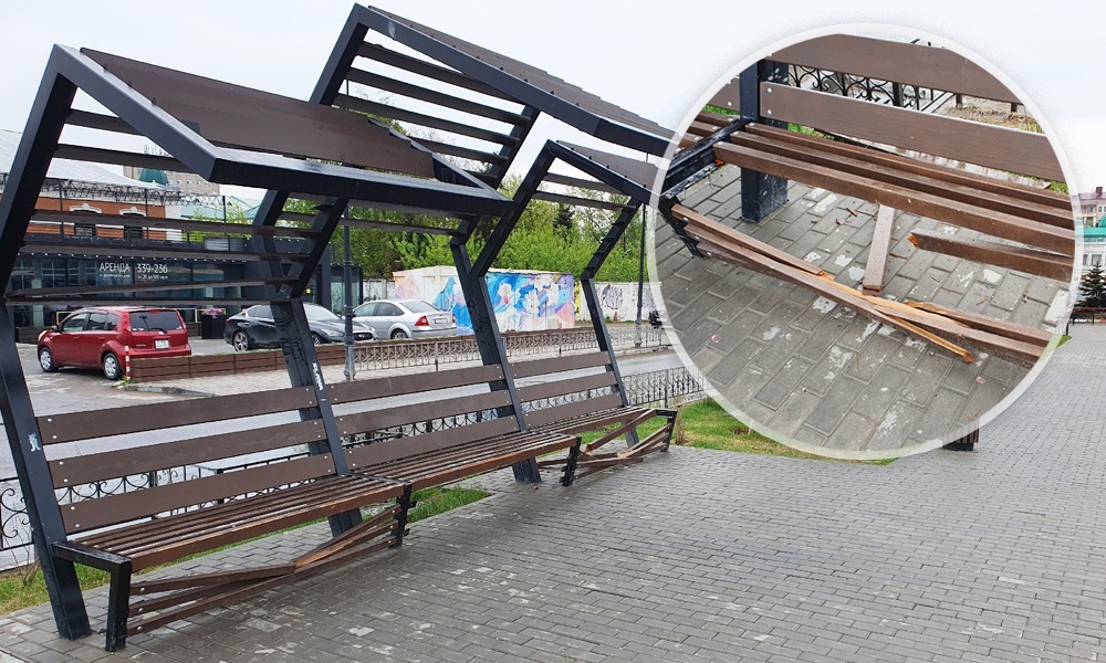 Неизвестные сломали скамейки и саженцы в омском скейт-парке на улице Бударина