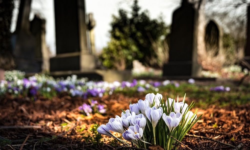 Никто не захотел проектировать новое кладбище у села Морозовка Омского района