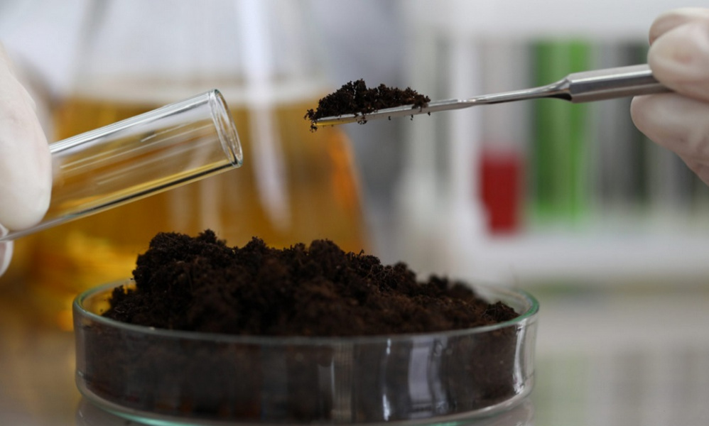 В омских пробах почвы нашли недопустимые по нормативам бактерии