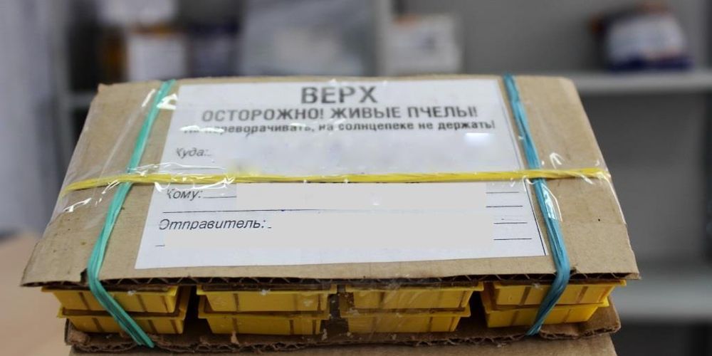 Омичи отправляют по почте живых пчёл и мотоциклы
