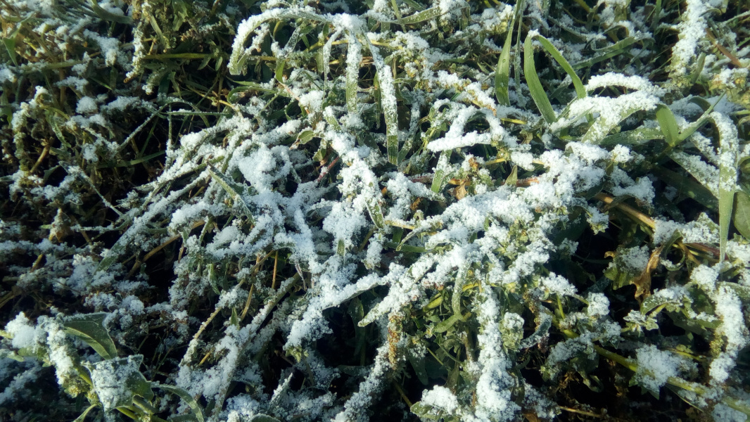 МЧС опять предупреждает: в Омской области ожидают ливень, град и ураган