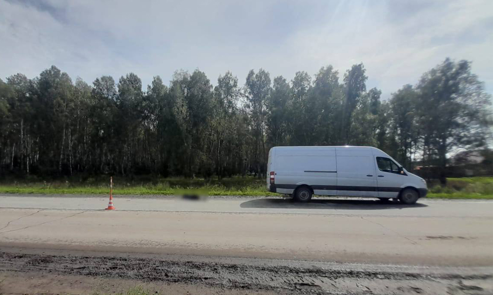 В Омской области грузовой фургон сбил женщину, перебегавшую проезжую часть