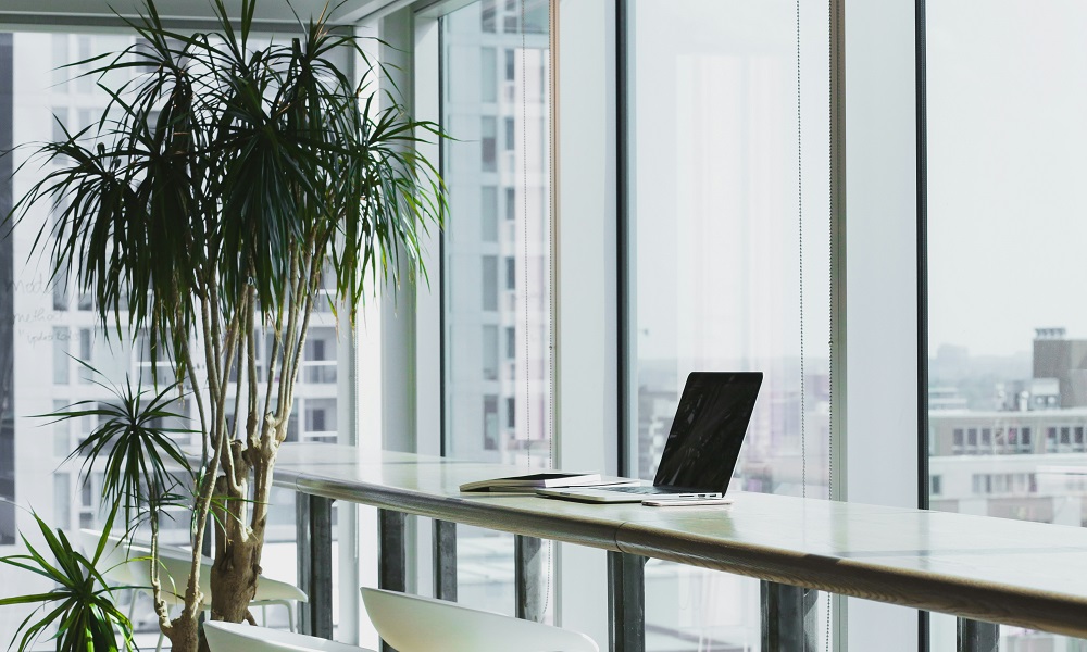 В Омске плательщики НПД получили доход на сумму 15,5 млрд рублей