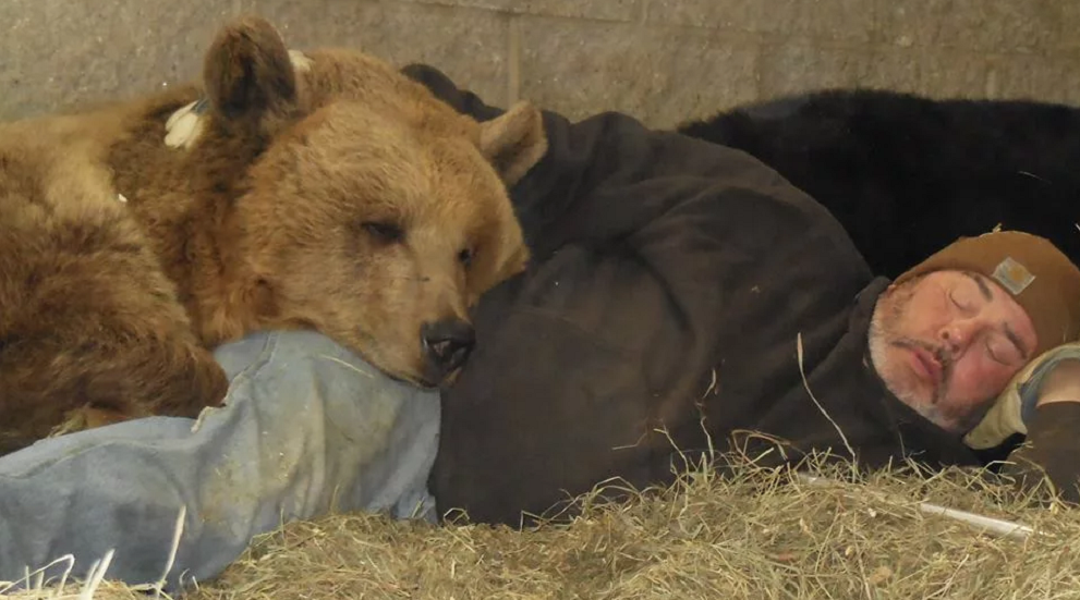 Огромный медведь стал самым близким другом супружеской пары из США