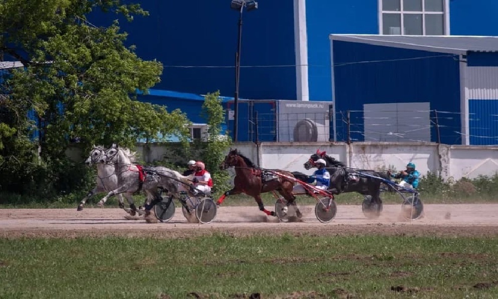 Омский этап всероссийских конных соревнований пройдёт без зрителей 