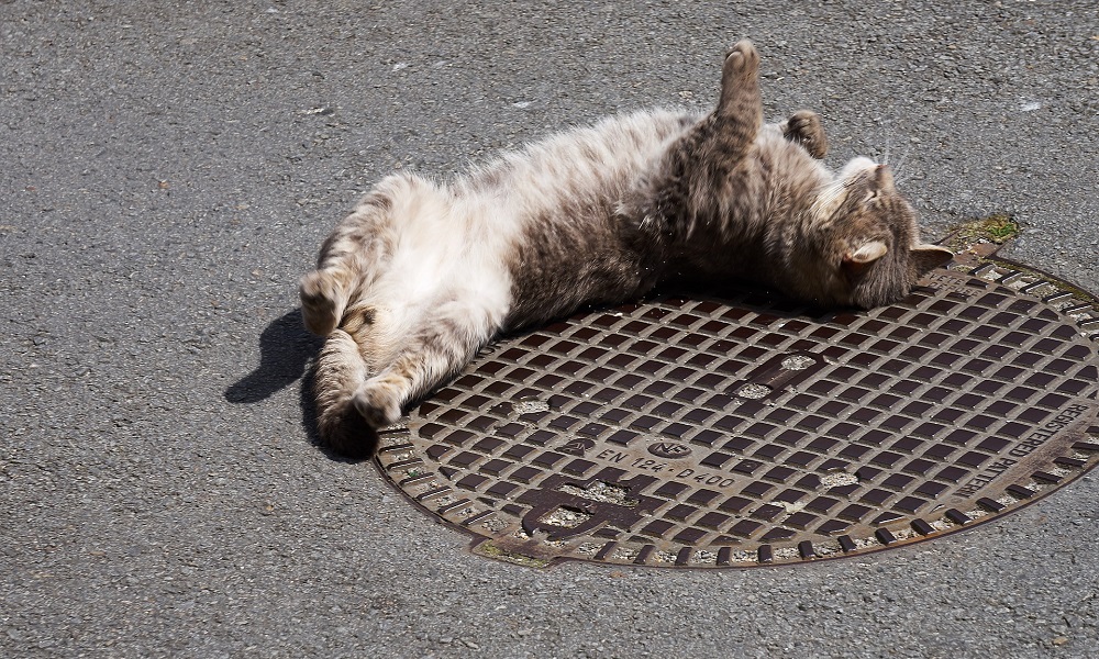 В Омске бесхозяйные объекты могут получить вторую жизнь