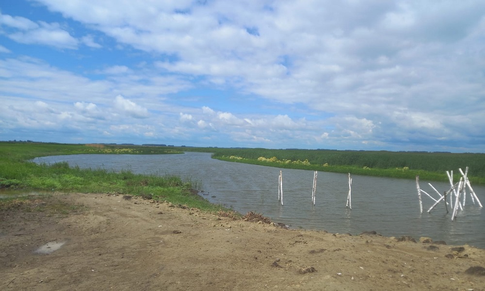 В минприроды Омской области рассказали, когда река Оша снова наполнится водой 