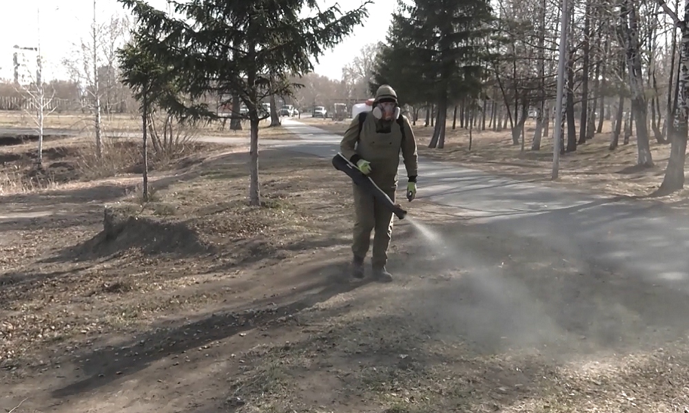 В Омске в этом году от клещей обработают 115 территорий