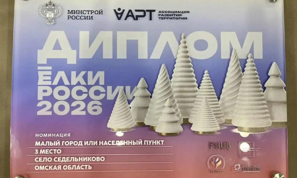 Ель из Седельниково вошла в тройку лучших на конкурсе «Ёлки России»