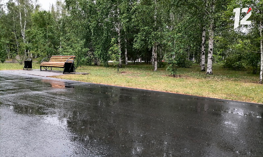 В Омской области ожидаются туман, грозы и дожди