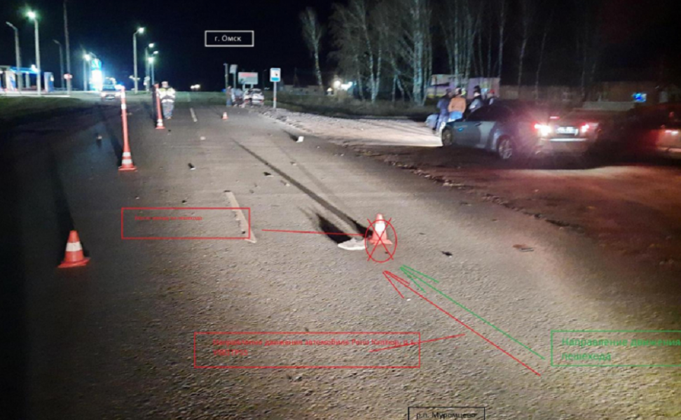 В Омской области сбили насмерть жителя Красноярского края
