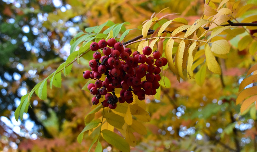 Сентябрь в Омске в 2023 году оказался теплее обычного