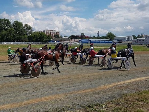 На призы для "Большого сибирского круга" выделено более 1 млн рублей