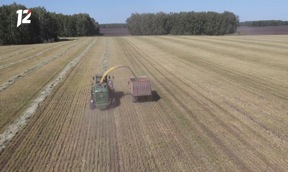 3 млн 960 тысяч тонн зерновых и зернобобовых: Виталий Хоценко рассказал об итогах уборочной кампании