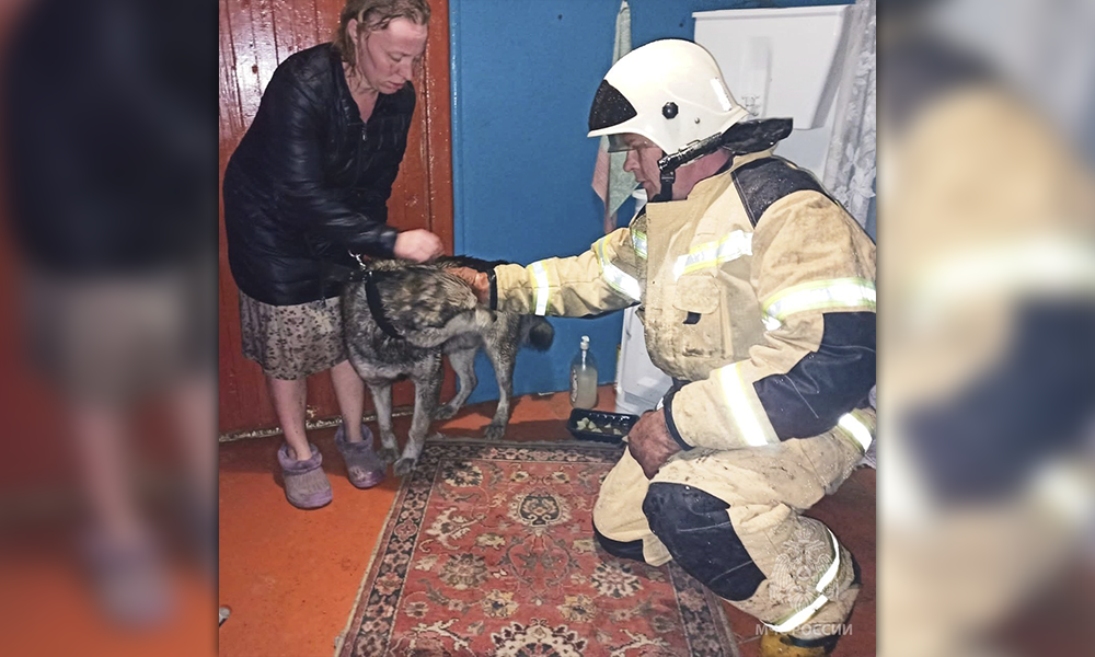 Омские сотрудники МЧС спасли собаку во время пожара