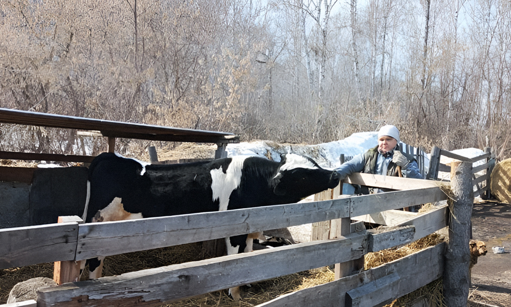 Семья из Омской области на средства соцконтракта открыла ферму 