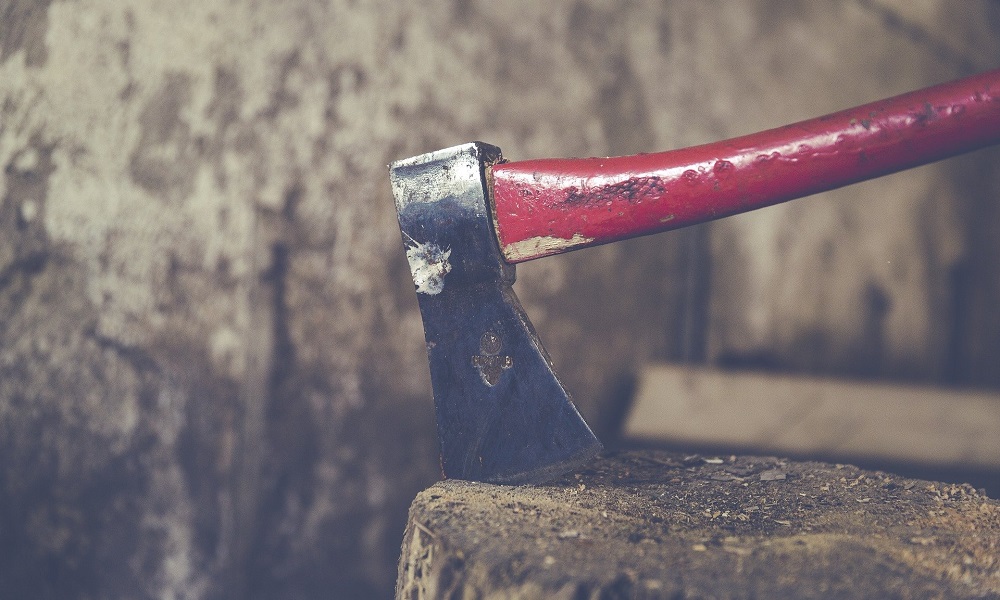 119 деревьев и почти 370 тысяч рублей: четыре омича нарубили дров на несколько уголовных дел