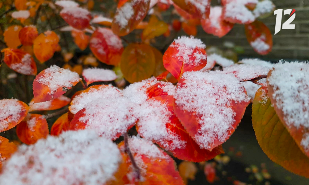 Надвигается непогода: синоптики прогнозируют в Омской оюласти резкое похолодание и порывистый ветер