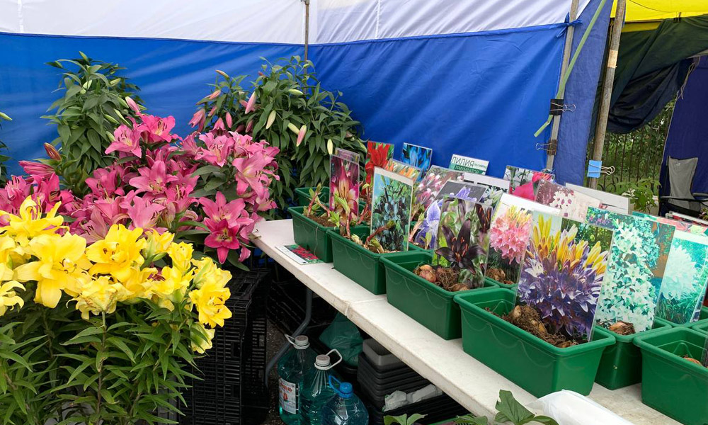 Сергей Шелест сообщил о подготовке к традиционной ярмарке «Золотая осень» в Омске