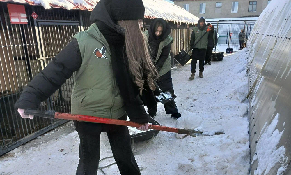 Молодёжное крыло Народного фронта полгода помогает омскому приюту для собак