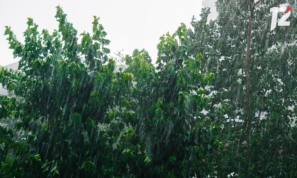 В Омской области ожидаются дожди, грозы и град