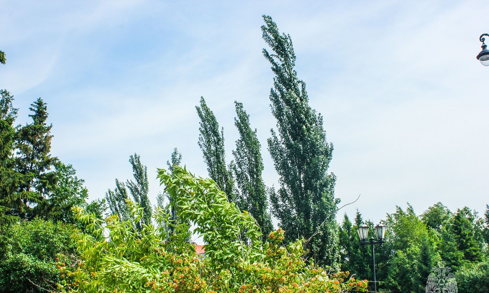 В Омской области ожидаются дождь и порывистый ветер