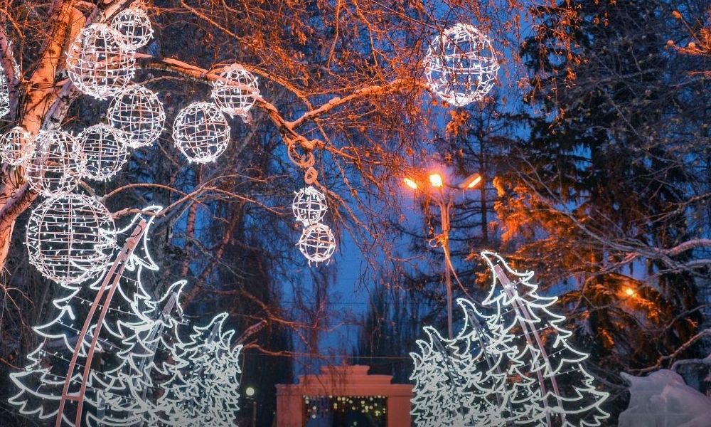 «Ель с бантом»: главная омская городская ёлка будет в Омской крепости