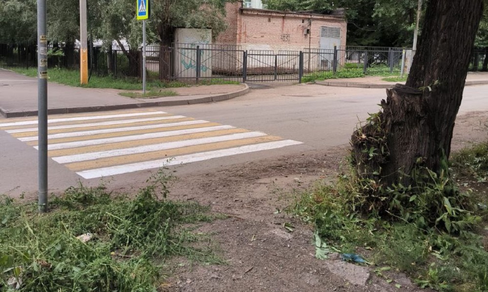 В Центральном округе Омска расчистили заросший кустарниками пешеходный переход, расположенный у школы