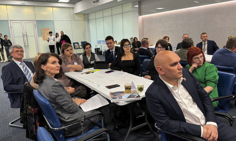 Омские специалисты работают над созданием мастер-плана Тары