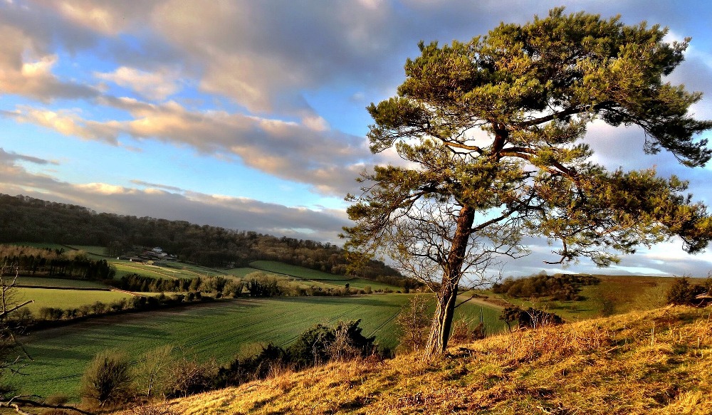 В Омской области ожидается штормовой ветер