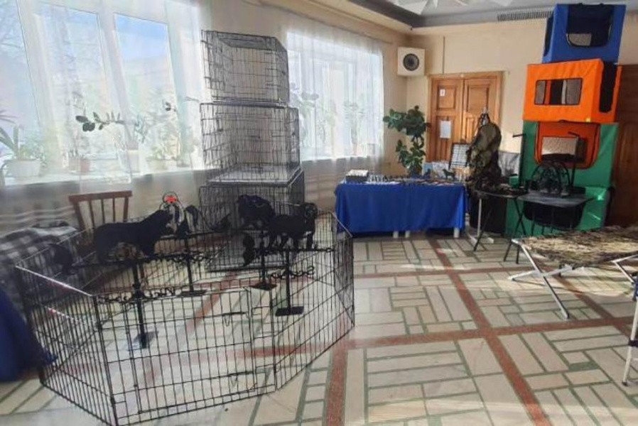 Куртки и намордники для собак, созданные омскими заключёнными, представили на тематической выставке 