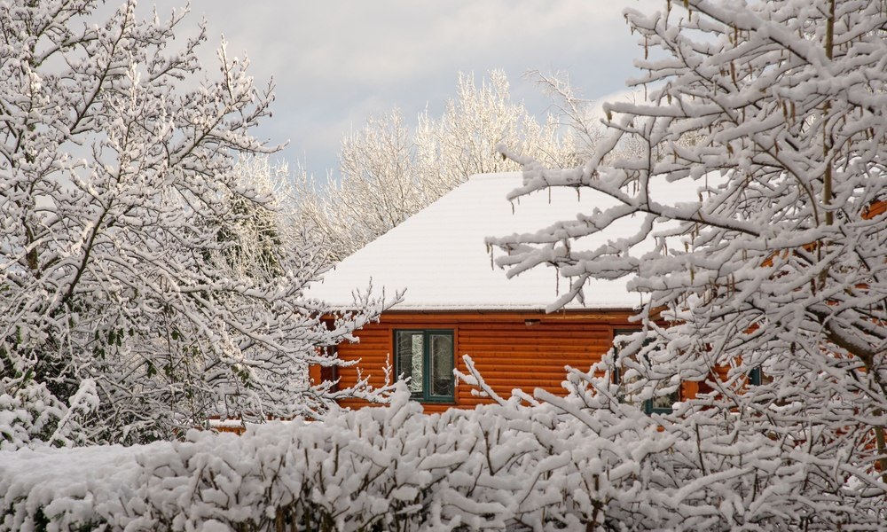 Сеть LTE запущена почти в 90 сёлах Омской области