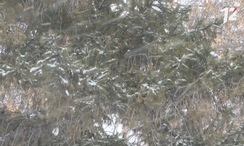 В Омской области объявлено штормовое предупреждение