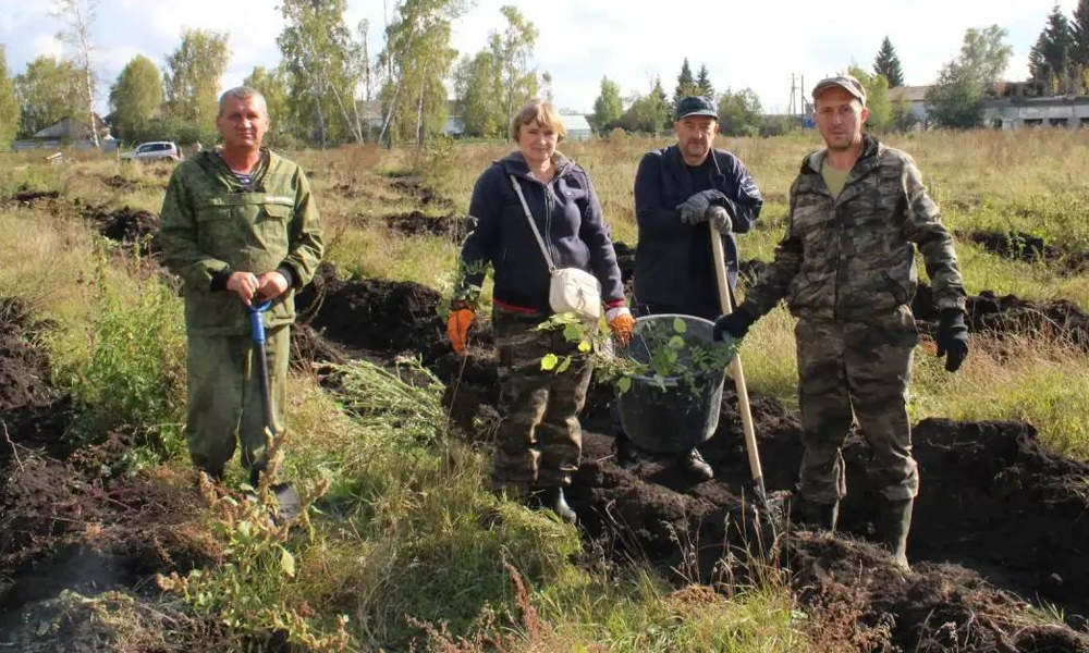 В Крутинском районе посадили 130 деревьев вместо запланированных 50