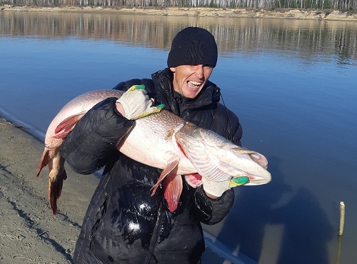 Омичи поймали 17-килограммовую щуку