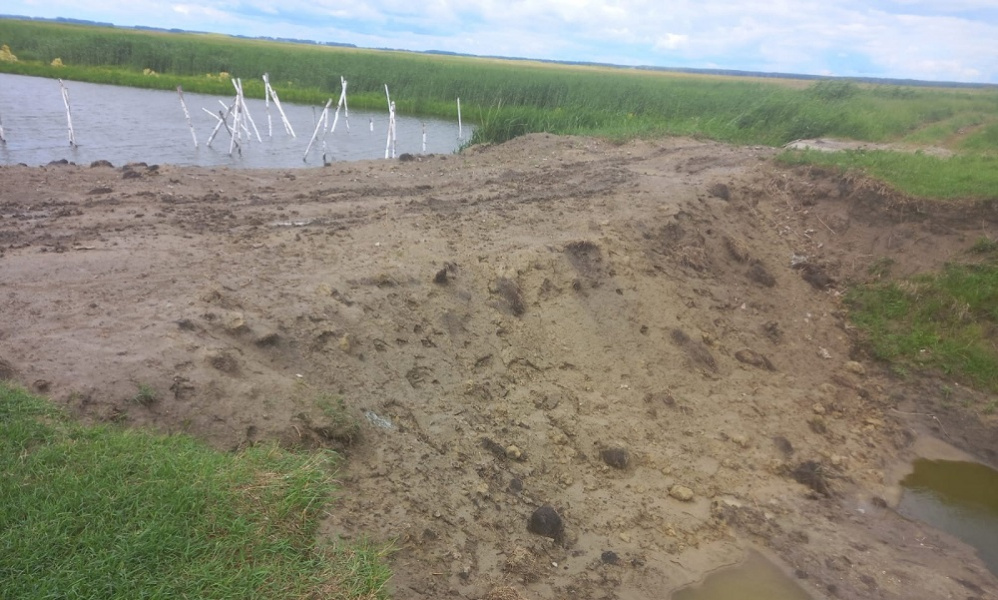 В омском минприроды рассказали, почему пересыхает река Оша в Колосовском районе