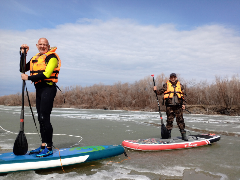 Омичи спасли раненую собаку, которая пять дней просидела на острове 