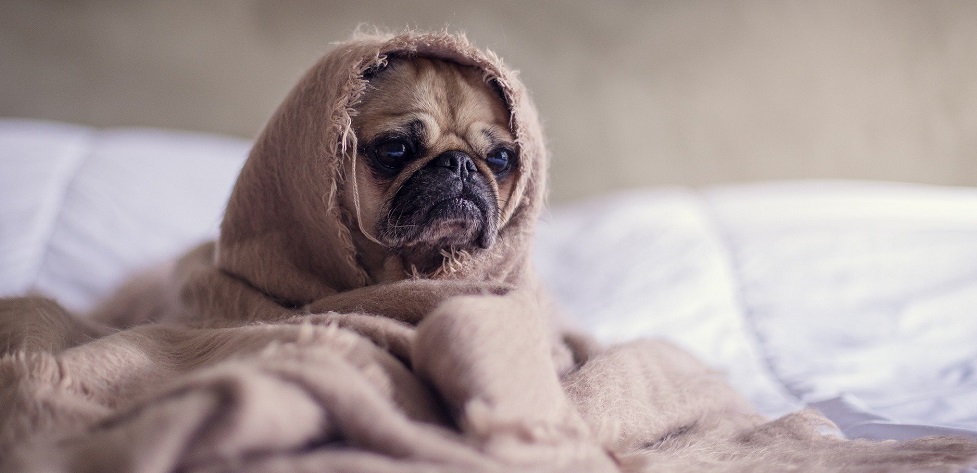 Врачи рассказали, что плохой сон иногда бывает на пользу