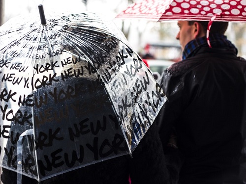 Омские синоптики обещают дожди и порывистый ветер 