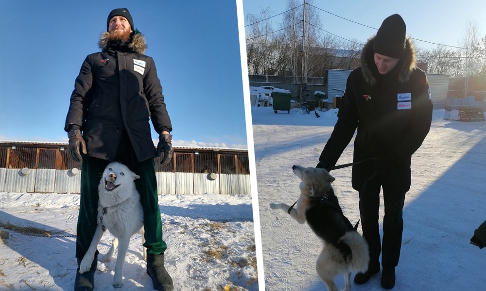 Хоккеисты омского «Авангарда» привезли 450 кг корма для собак муниципального приюта