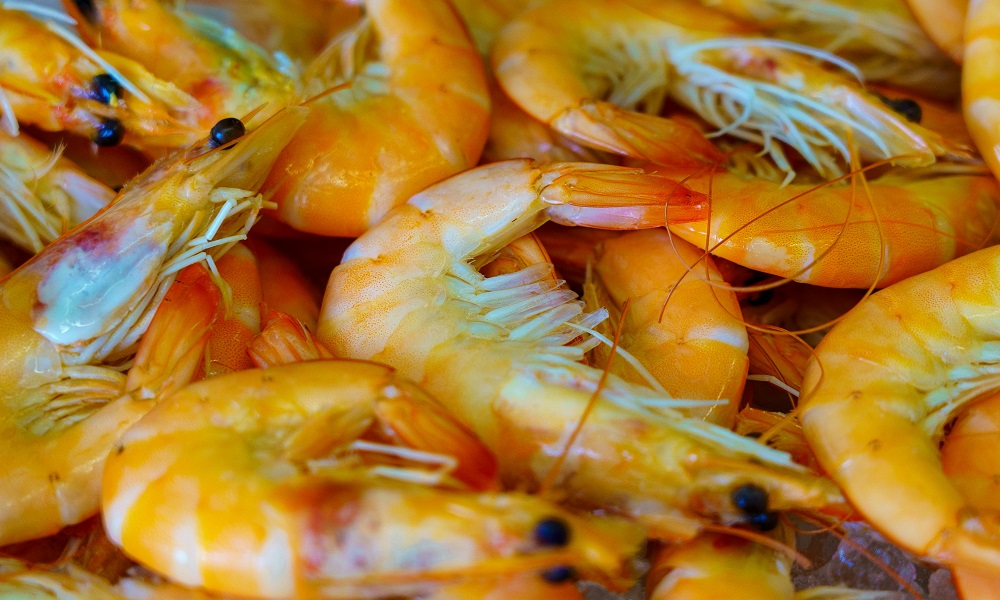 В Омской области к вывозу в Казахстан не допустили крупную партию замороженных креветок