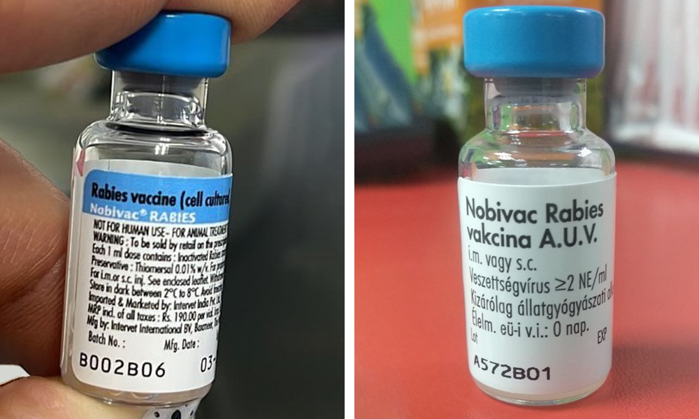 Омских ветеринаров предупредили о том, что в России появилась контрафактная вакцина от бешенства